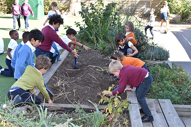 640px-Children_at_the_Lycée_International_de_Londres_learning_about_gardening