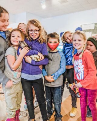 Pets are beloved members of our home and school communities, a great opportunity for science and language learning! A chance for the children to develop the ability to care for something that they love! #pets #bugs #Montessori #duluth